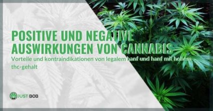 Positive und negative Auswirkungen von CBD und Cannabis mit hohem THC-Gehalt