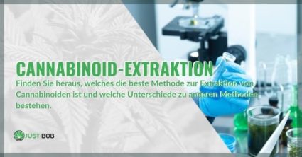 Der beste Weg, um Cannabinoide und CBD zu extrahieren