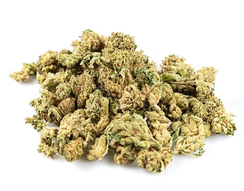 CBD Blüten der Sorte Bubblegum