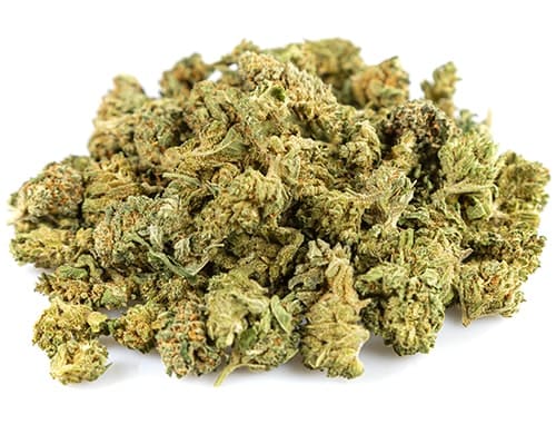 CBD Blüten der Sorte California Haze