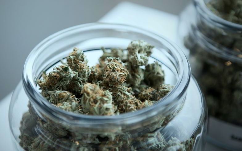 Cannabis und sekundäre Wirkstoffe