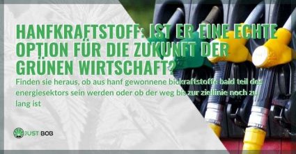 Hanf-Kraftstoff Hanf-Biokraftstoff für die Zukunft der grünen Wirtschaft