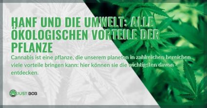 Hanf-und-Umwelt Die ökologischen Vorteile von Hanf