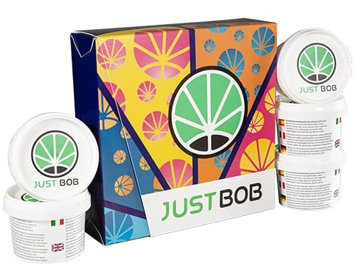 Kit silver Back2Work mit 5 Sorten und 17 Gramm von cbd blüten