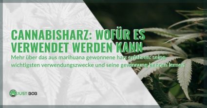 Wofür kann Marihuanaharz verwendet werden?