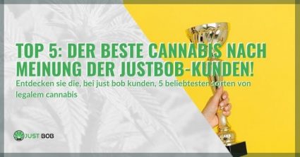 Das Ranking der 5 besten legalen Kräuter laut Justbob-Kunden