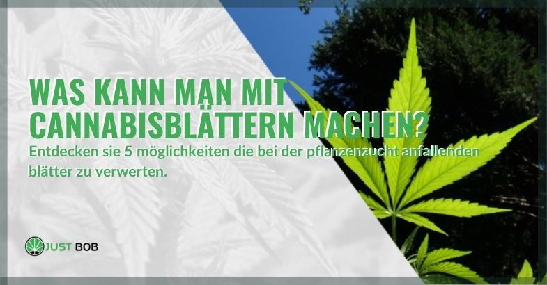 5 Möglichkeiten, Cannabisblätter zu verwenden