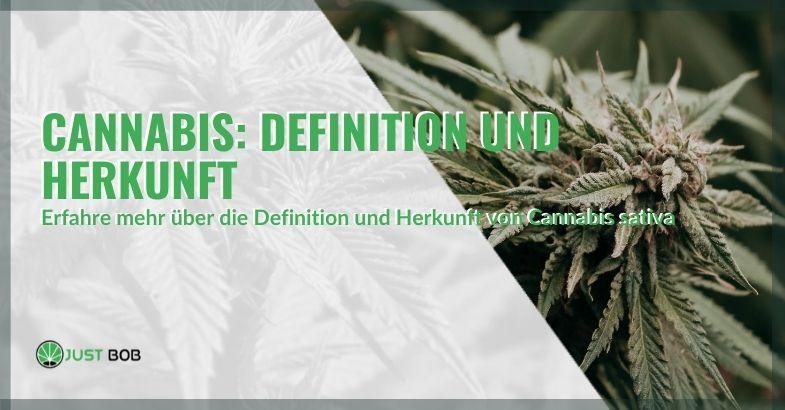 Cannabis sativa: Einblick in den Ursprung und die Definition dieser vielseitigen und umstrittenen Pflanze.