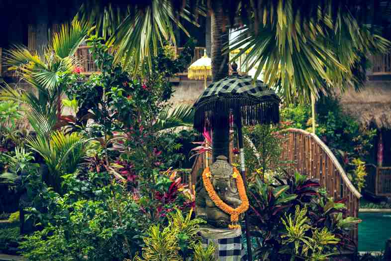Im Mittelalter galt Indien als Geburtsort von Cannabis