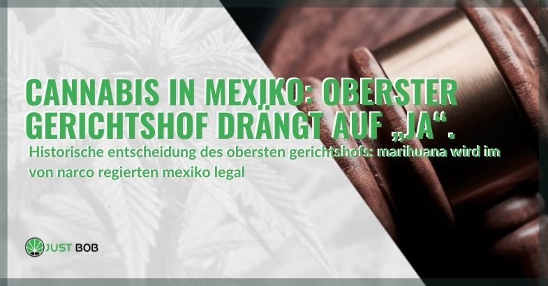 Der Oberste Gerichtshof hat entschieden, dass Marihuana in Mexiko legal wird.