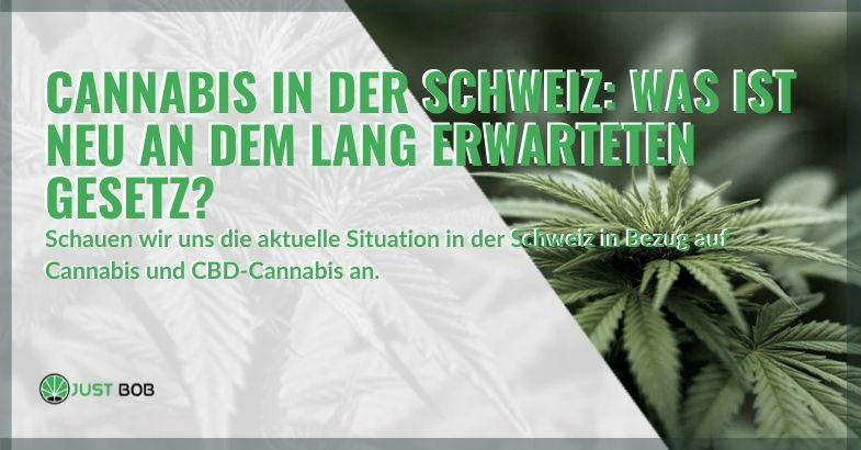 Die aktuelle Situation von Cannabis in der Schweiz