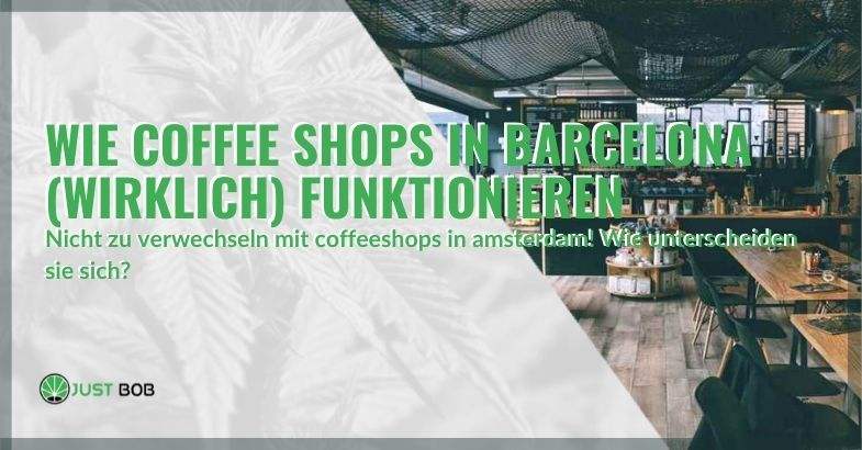 Wie unterscheiden sich Coffeeshops in Barcelona und Coffeeshops in Amsterdam?