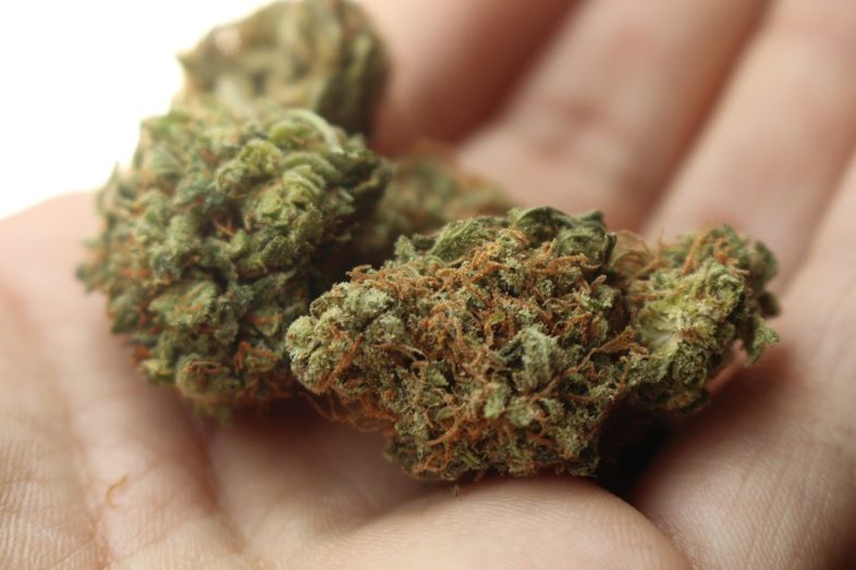 Trivialisierung des Cannabiskonsums