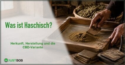 Banner mit dem Titel Was ist Haschisch? vor einer Werkbank mit Siebrahmen, gesiebtem Harzpulver und gepressten Platten