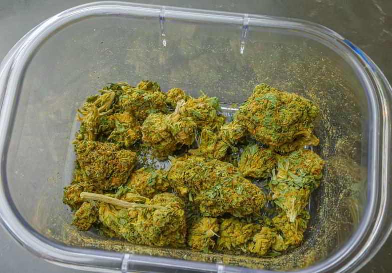 Cannabisknospen zum Sieben