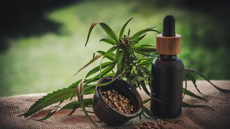 Cannabis und CBD-Öl