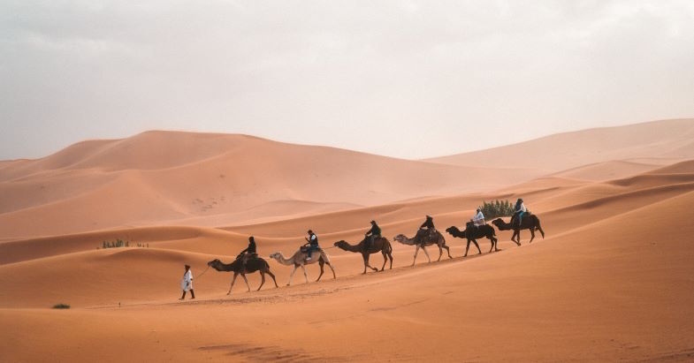 Arabische Wüste