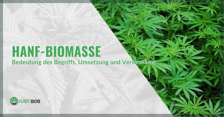 Was ist Hanfbiomasse, wie wird sie verwendet und wie wird sie gewonnen?