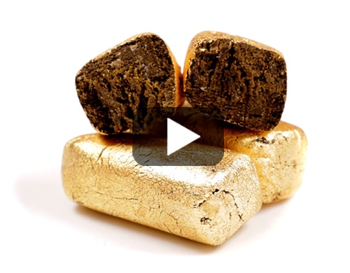 Afghan-gold-cbd-hasch