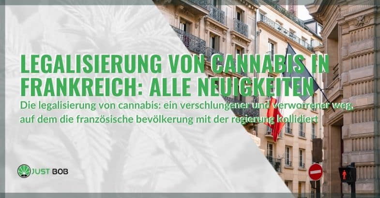 Nachrichten über die Legalisierung von Cannabis in Frankreich