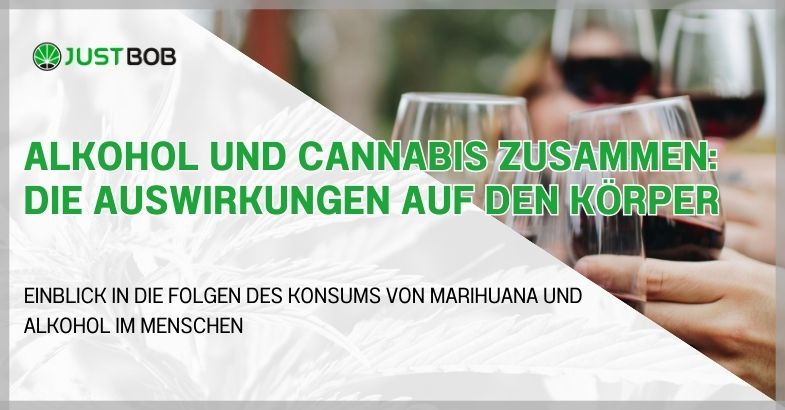 Alkohol und Cannabis zusammen
