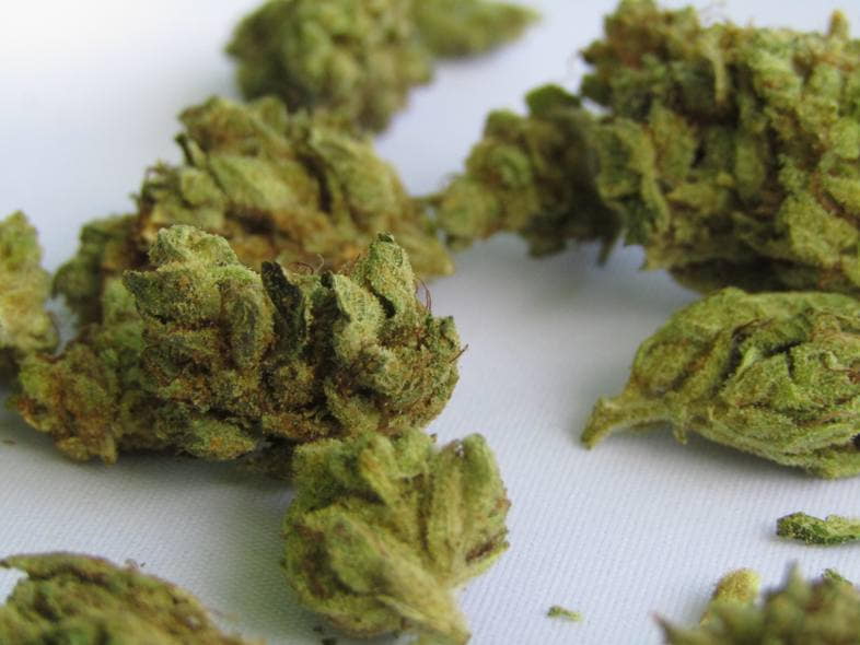 Cannabis mit einem THC-Gehalt von weniger als 0,3 %.