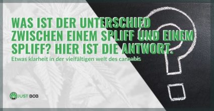 Der Unterschied zwischen einem Joint und einem Reefer