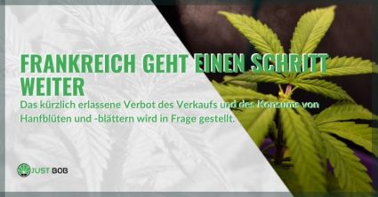 Verbot von Verkauf und Konsum von Cannabis in Frankreich in Frage gestellt