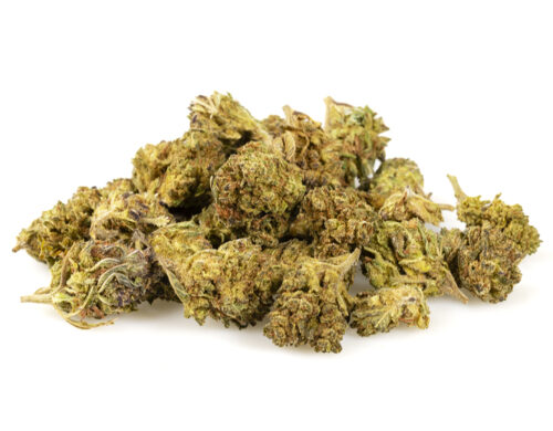 HQ cbd boost cbd blueten klein