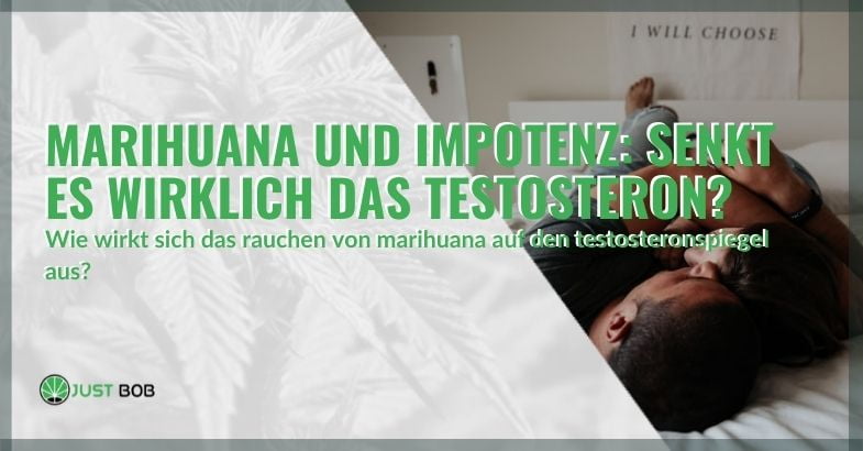 Senkt Marihuana das Testosteron und verursacht dadurch Impotenz?