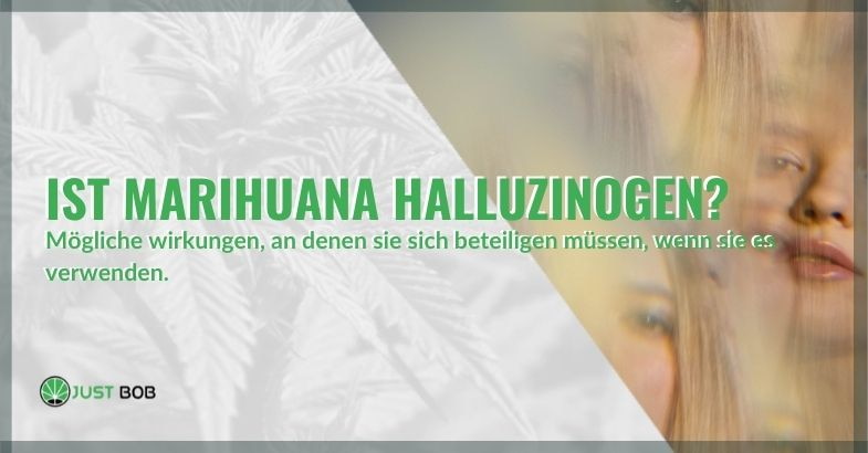 Marihuana und Halluzinationen