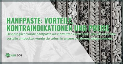 Vorteile und Kontraindikationen von Hanfnudeln