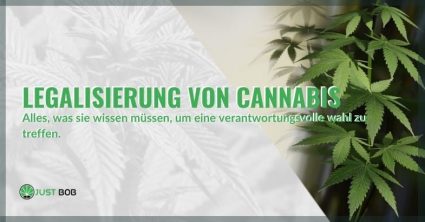 Alles über die Legalisierung von Cannabis