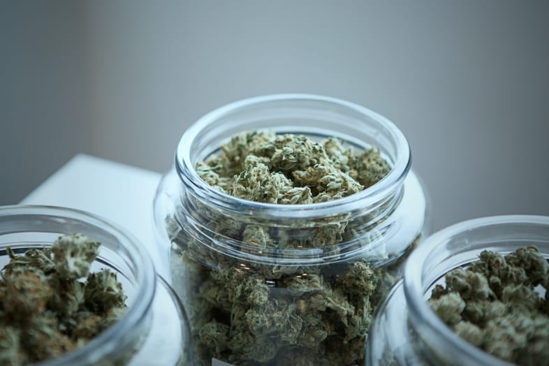Lagerung von Cannabisknospen in luftdichten Gläsern