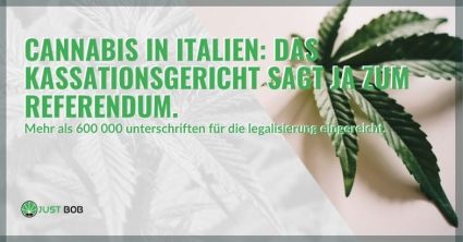 Oberster Gerichtshof Italiens sagt Ja zum Referendum über Cannabis