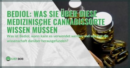 Alles über Bediol medizinisches Cannabis