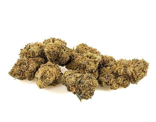cbd-blueten-amnesia-cbd-boost