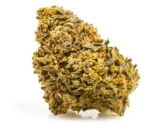 cbd gras amnesia cbd boost