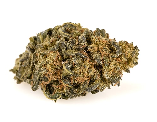 cbd-blueten-kaufen-amnesia-cbd-boost