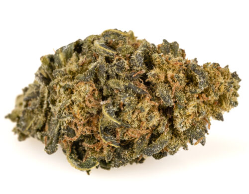 cbd gras kaufen amnesia cbd boost