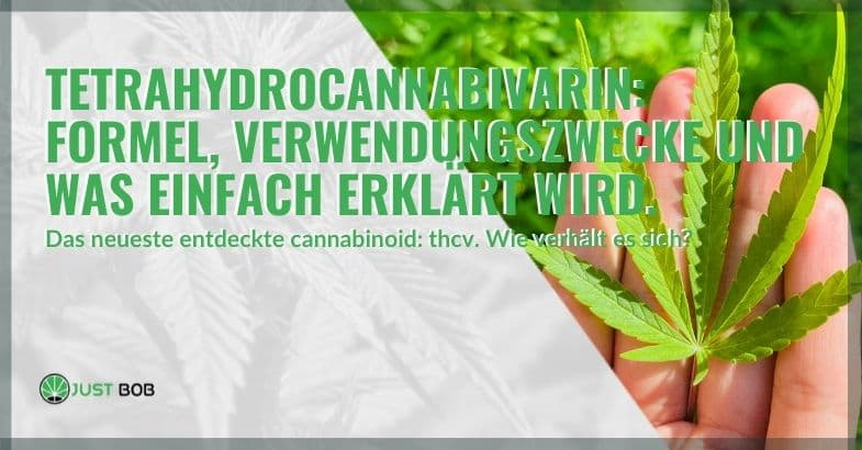 Die Formel und die Verwendungen von Tetrahydrocannabivarin