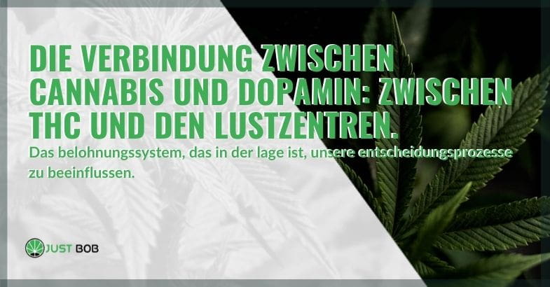 Die Verbindung zwischen Dopamin und Cannabis