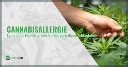 Symptome, Abhilfe und Vorbeugung einer Cannabisallergie