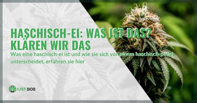 Was ist ein Haschisch-Ei?