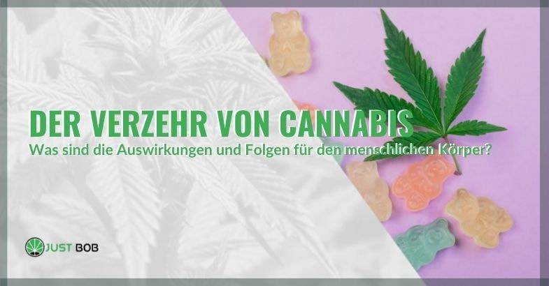 Wirkungen und Folgen des Cannabiskonsums