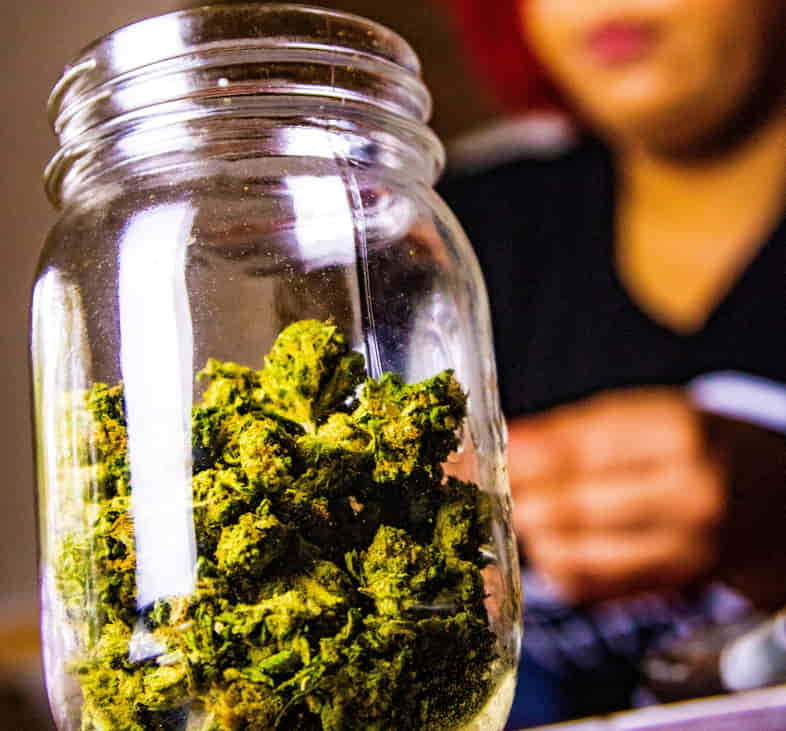 Glas gefüllt mit Marihuana-Knospen