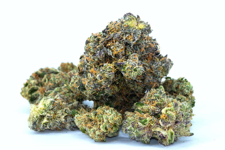 Cannabis-Blütenstände