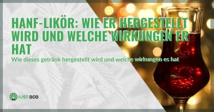 Die Wirkungen und die Herstellung von Hanfschnaps