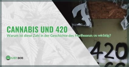 Cannabis: die Bedeutung der Zahl 420