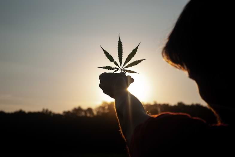420 Cannabis